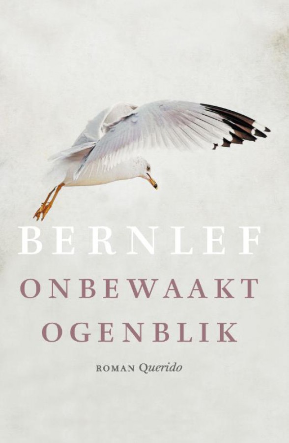 image from Onbewaakt ogenblik